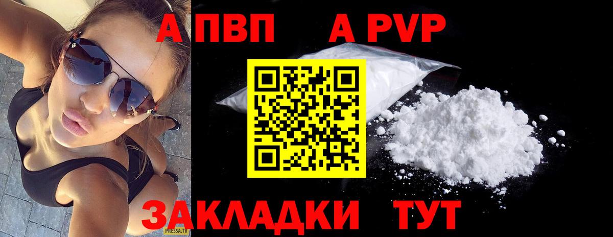 A PVP СК КРИС Прокопьевск