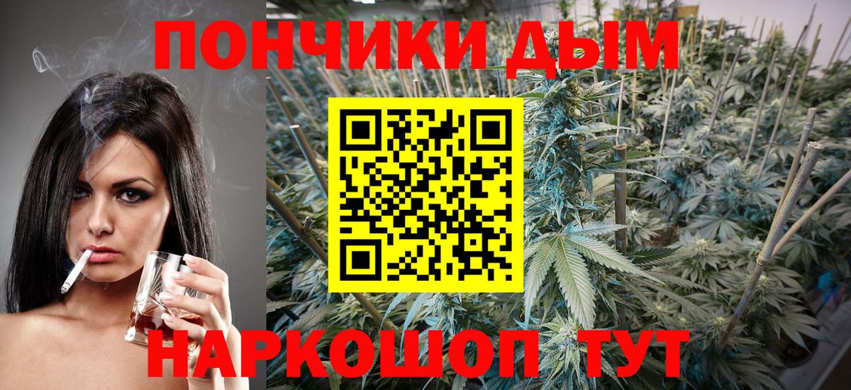 Бошки Шишки гибрид  Канабис ГИДРОПОН  Вход с VPN  Прокопьевск 